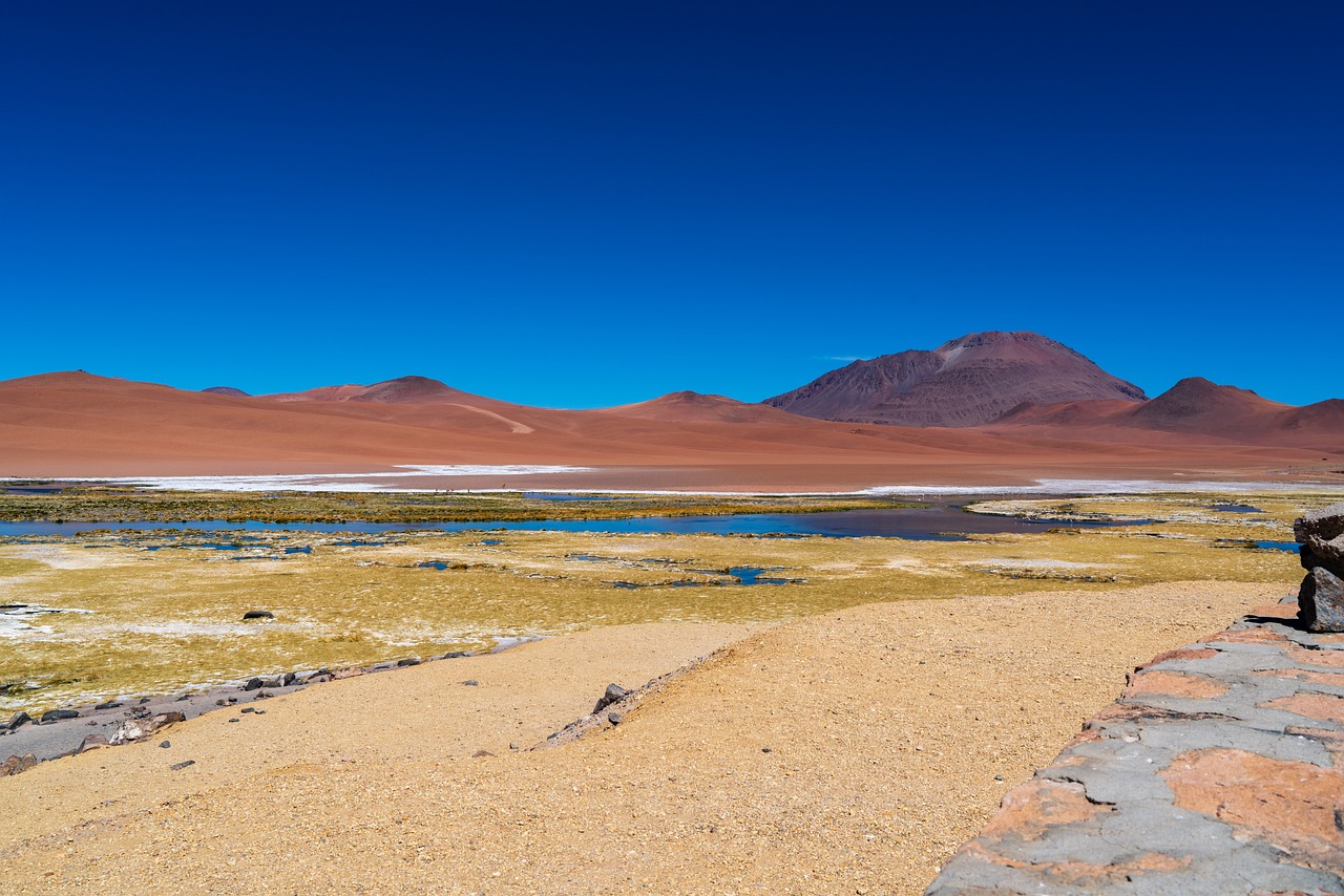 The Untouched Landscapes of Bolivia’s Sajama National Park